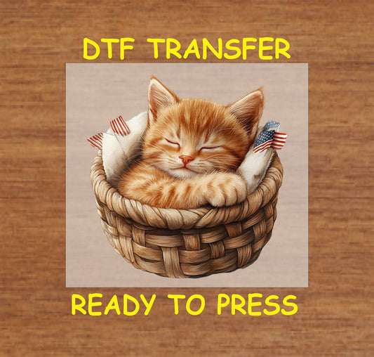 Sleeping ginger kitten in a basket with American flags DTF transfer.