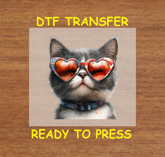 Cat wearing heart-shaped patriotic sunglasses reflecting fireworks DTF transfer.