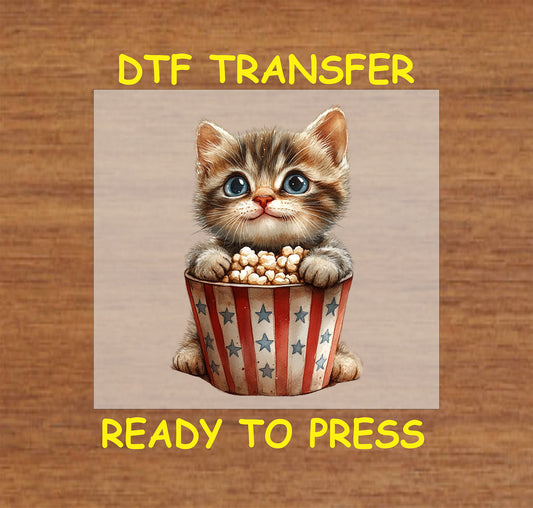 Tabby kitten sitting in a patriotic popcorn bucket DTF transfer for 4th of July.