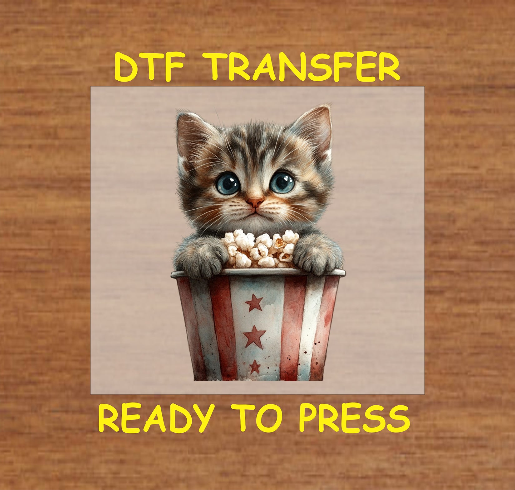 Tabby kitten sitting in a patriotic popcorn bucket DTF transfer for 4th of July.