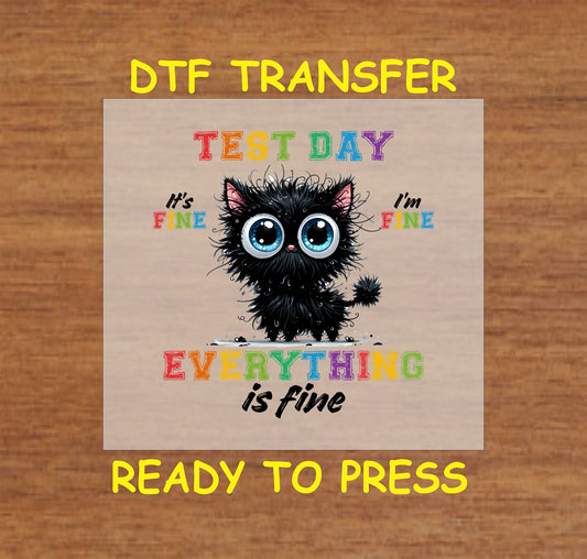 Test Day Everything is Fine DTF transfer with a wide-eyed black fluffy cat and rainbow text.