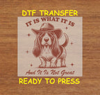 Funny DTF Transfer Iron On Heat Transfer - Ready to Press, It Is What It Is DTF Transfer 5641
