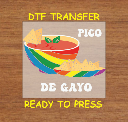 Pico De Gayo DTF transfer with a rainbow salsa bowl and tortilla chips.
