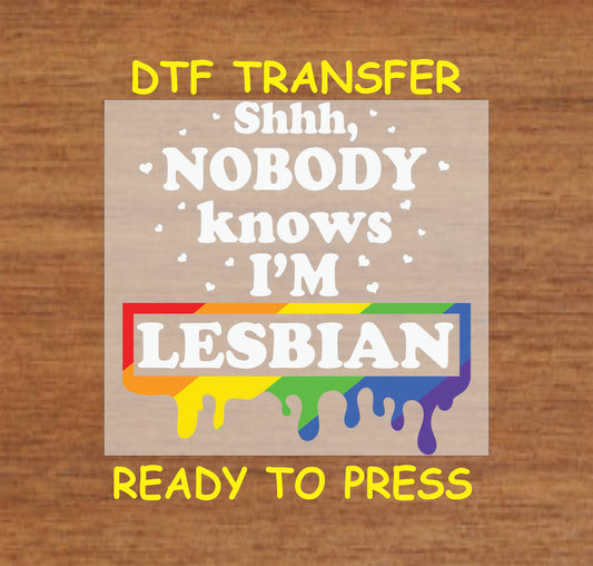 Pride DTF Transfer Iron On Heat Transfer - Ready to Press, Shhh Nobody Knows DTF Transfer 5790