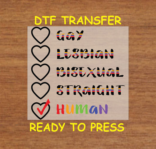 "Human First" pride DTF transfer with rainbow hearts and LGBTQIA+ identities listed.
