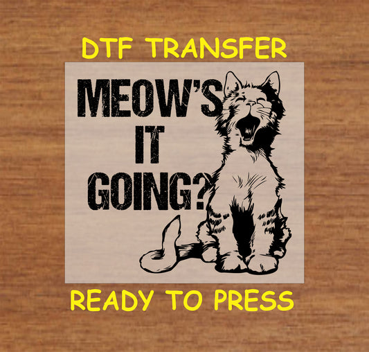 DTF transfer of laughing cat with text “Meow’s It Going?”

