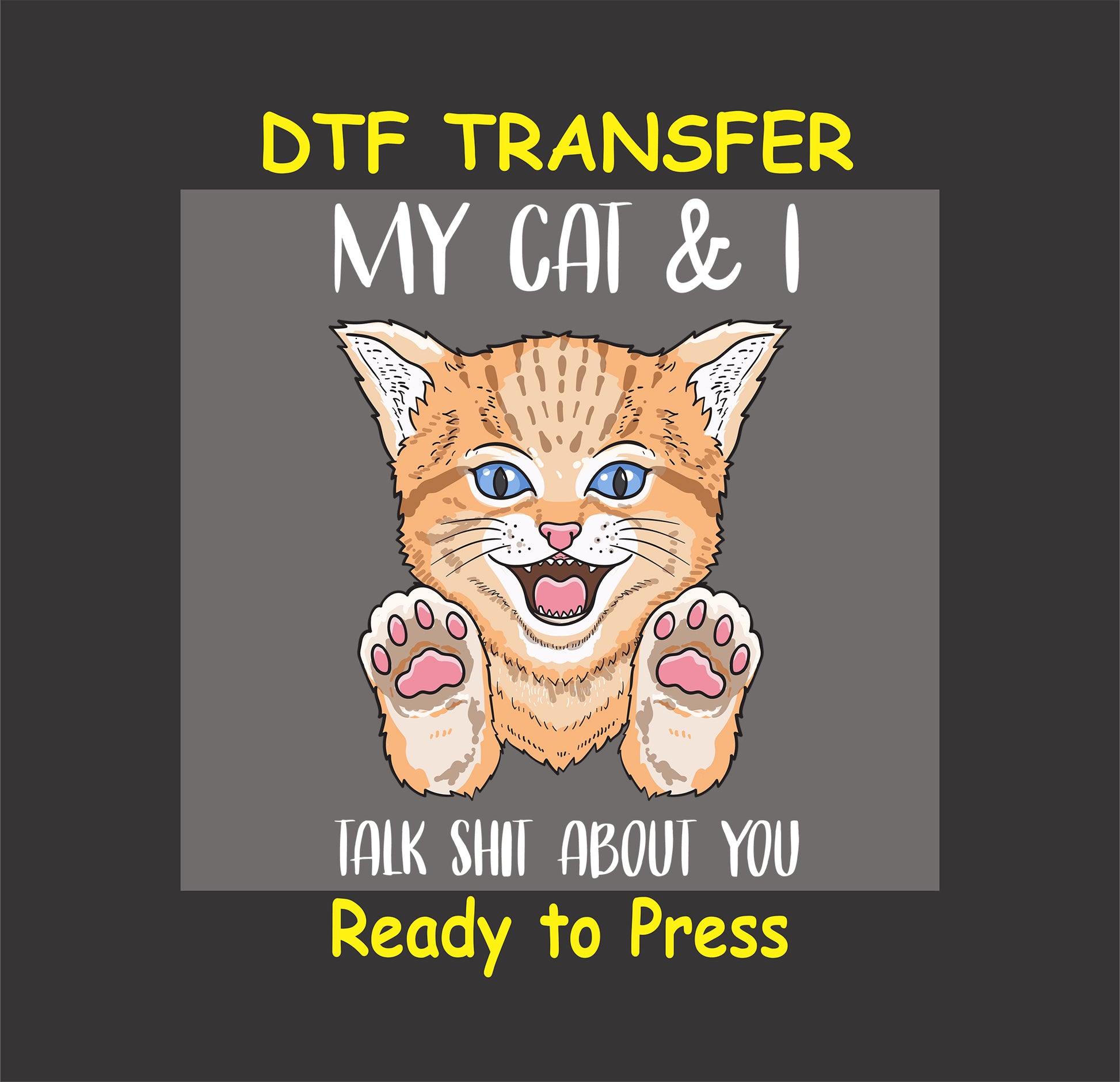 DTF transfer of smiling orange cat with text “My Cat & I Talk Sh*t About You”

