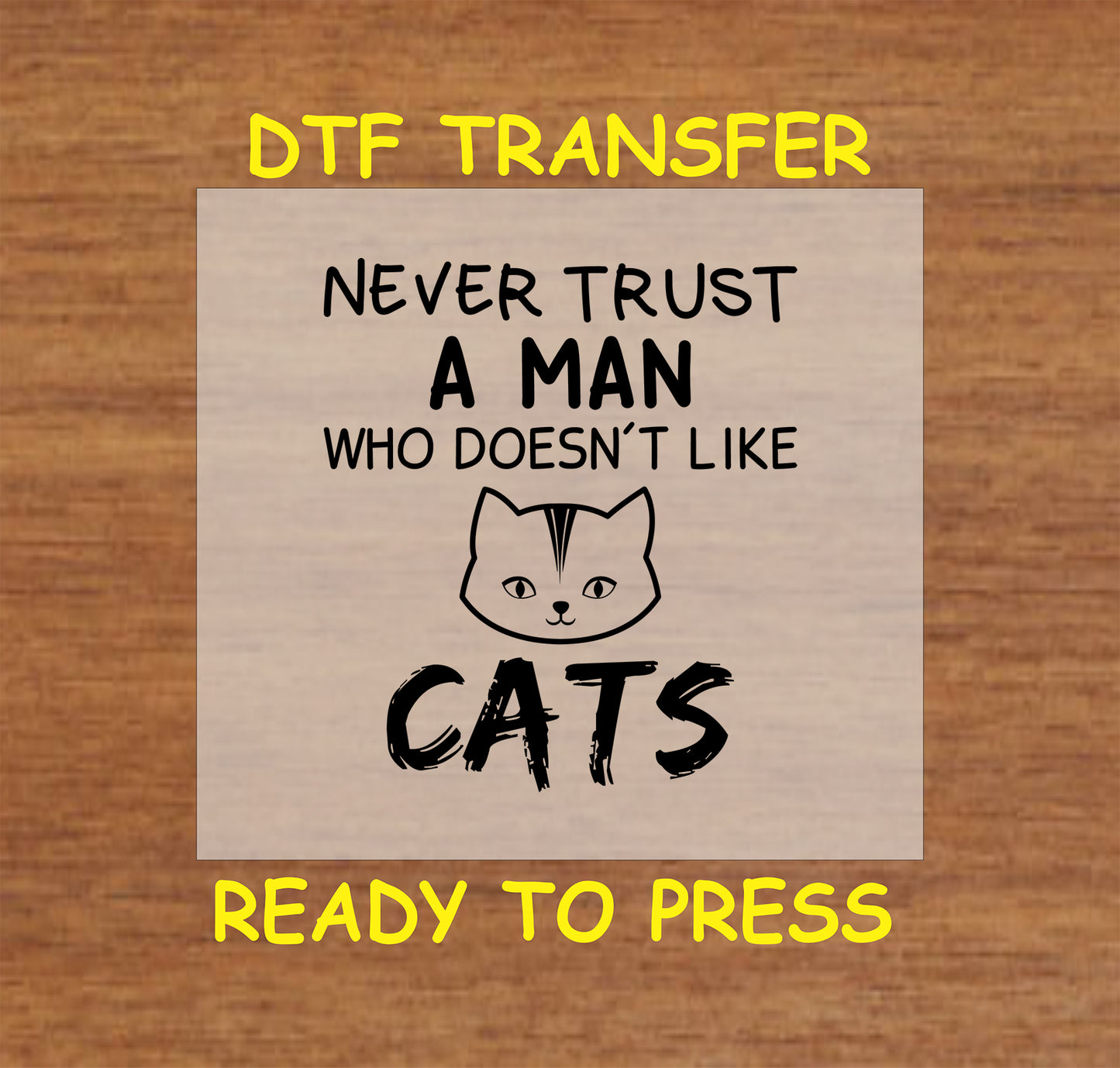 DTF transfer of smiling orange cat with text “My Cat & I Talk Sh*t About You”
