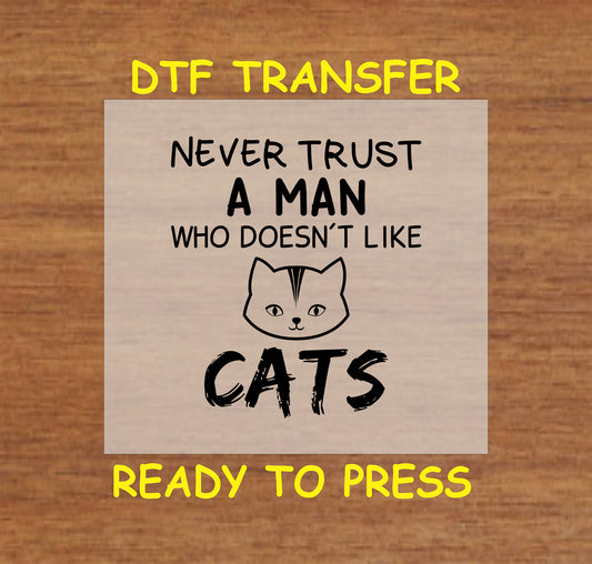 DTF transfer of smiling orange cat with text “My Cat & I Talk Sh*t About You”