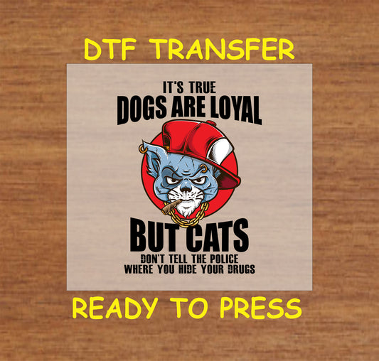 DTF transfer with blue gangster cat in red cap, text saying dogs are loyal but cats don’t snitch.