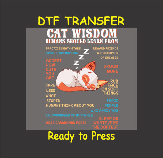 Sleeping cat with humorous cat wisdom text around it in colorful fonts.