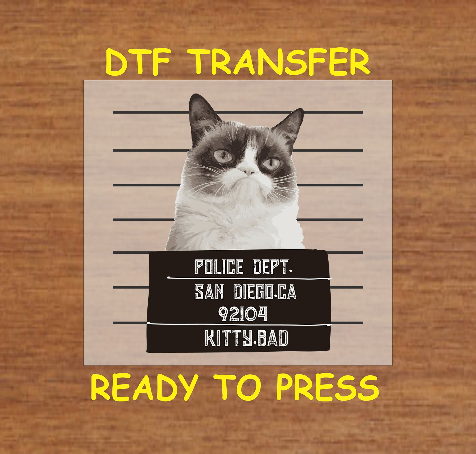 Grumpy cat mugshot with police lineup background and sign reading San Diego.