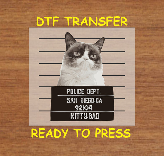 Grumpy cat mugshot with police lineup background and sign reading San Diego.