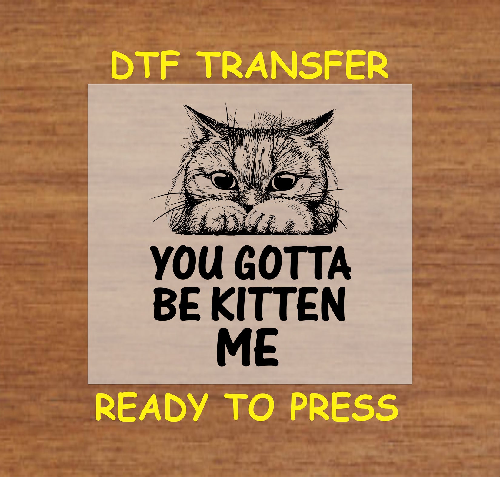 Funny cat DTF transfer with “You Gotta Be Kitten Me” text and sketched cat face.