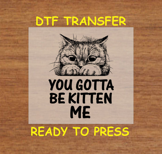 Funny cat DTF transfer with “You Gotta Be Kitten Me” text and sketched cat face.