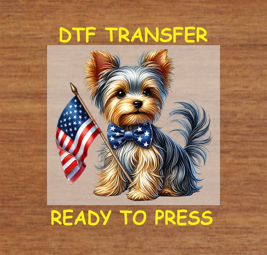 Yorkie dog holding American flag wearing star bowtie.