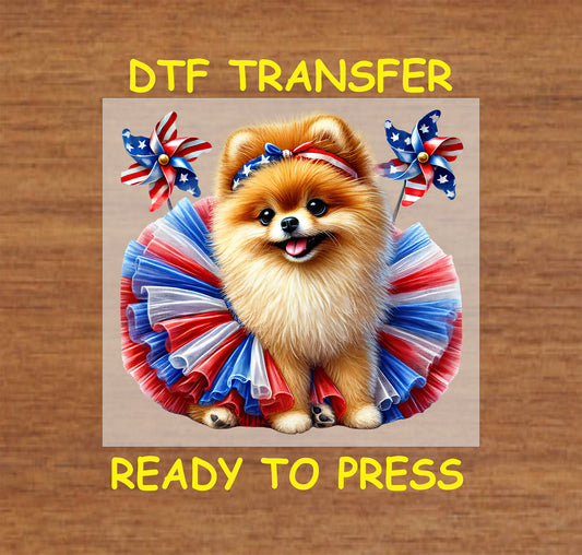 Pomeranian in red white blue tutu with patriotic pinwheels.