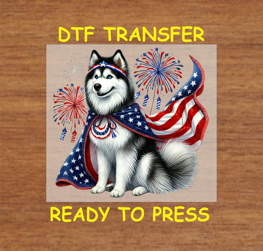 Husky wearing American flag cape with fireworks in background.