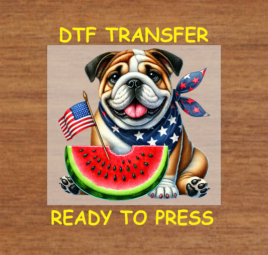 Bulldog with patriotic scarf, watermelon slice, and American flag.