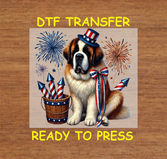 St. Bernard with patriotic hat, fireworks, and ribbon.