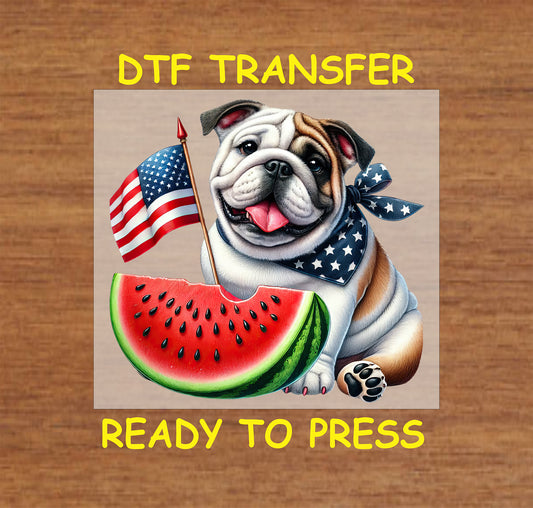 Bulldog with watermelon slice, American flag, and star bandana.