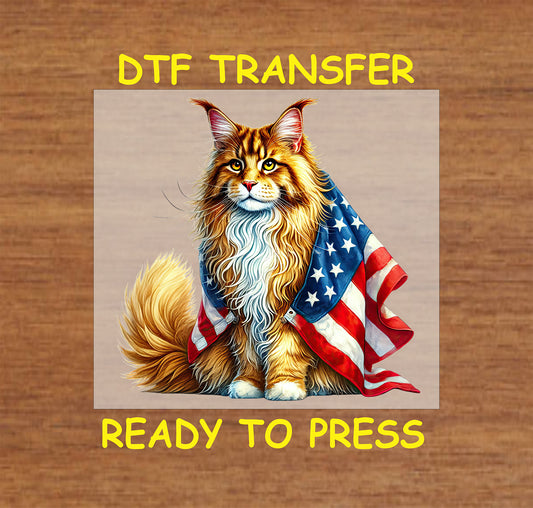 Long-haired cat draped in American flag cape for July 4th.