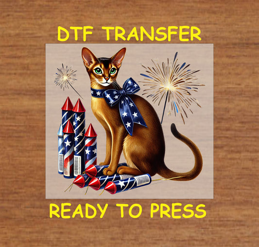 4th Of July DTF Transfer Iron On Heat Transfer - Ready to Press, Patriotic Cat with Fireworks DTF Transfer 7219