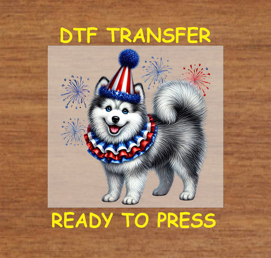 Fluffy dog in party hat with ruffle collar and fireworks background for 4th of July.