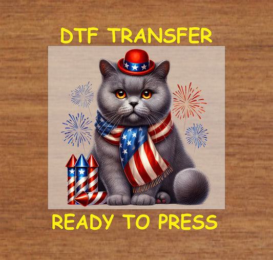 Gray cat wearing patriotic hat and scarf with fireworks and rockets.
