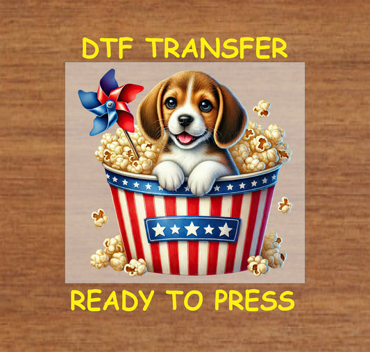 Beagle puppy in patriotic popcorn bucket with pinwheel DTF transfer.