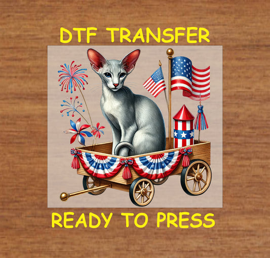 Sphinx cat in patriotic wagon with flags, fireworks, and pinwheels DTF transfer.