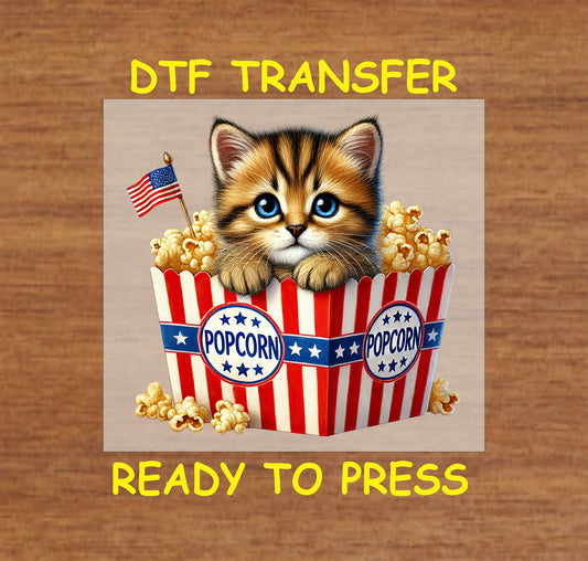 Kitten in red white blue popcorn box with American flag DTF transfer.