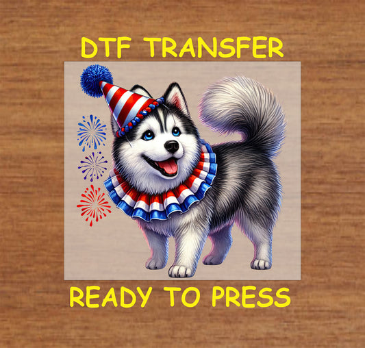 Husky dog with party hat and ruffled collar with fireworks DTF transfer.