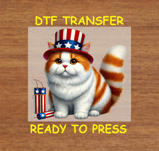 Orange and white cat in patriotic top hat with firecrackers DTF transfer.
