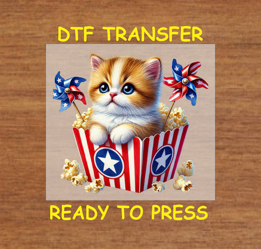 Orange kitten in patriotic popcorn tub with pinwheels and popcorn DTF transfer.