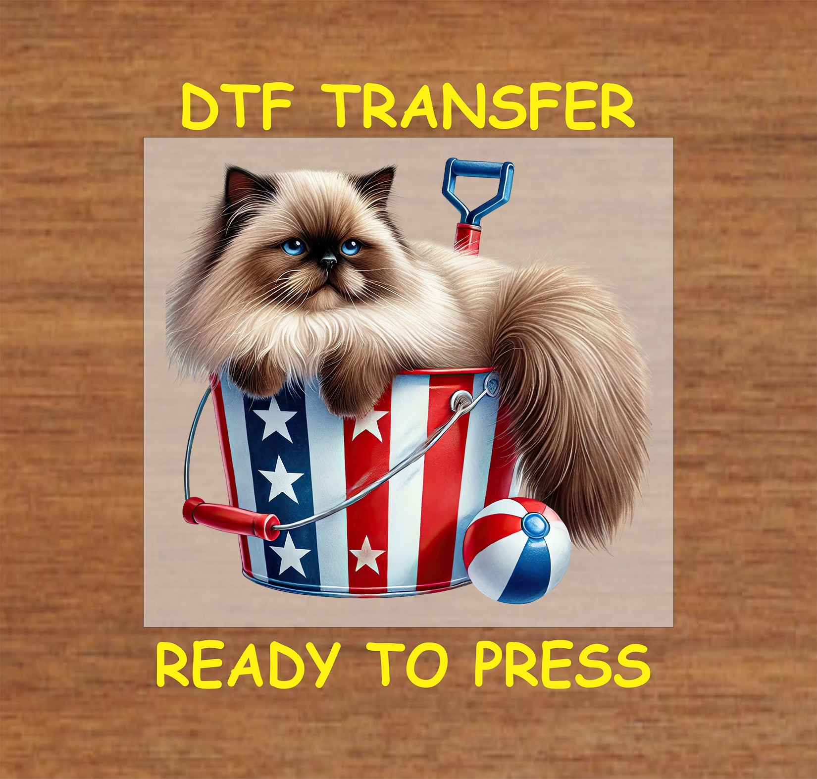 Fluffy cat in patriotic bucket with beach ball and shovel DTF transfer.