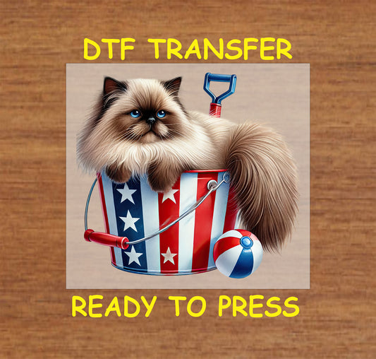 Fluffy cat in patriotic bucket with beach ball and shovel DTF transfer.