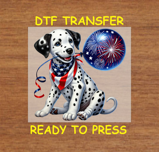 Dalmatian puppy with fireworks balloon and patriotic scarf DTF transfer.