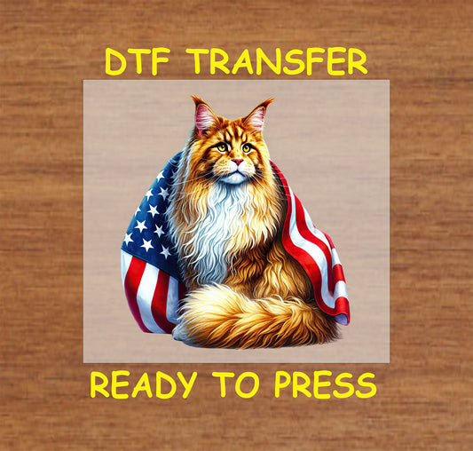 Long-haired cat wrapped in American flag DTF transfer for 4th of July.