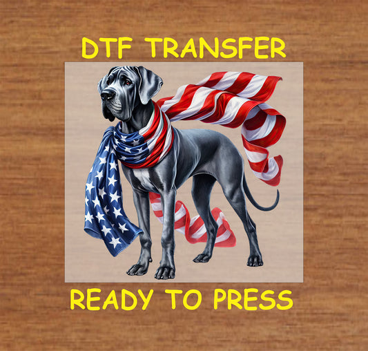 Great Dane wrapped in flowing American flag scarf DTF transfer.