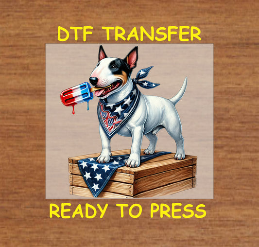 Bull Terrier with popsicle and patriotic scarf standing on crate DTF transfer.