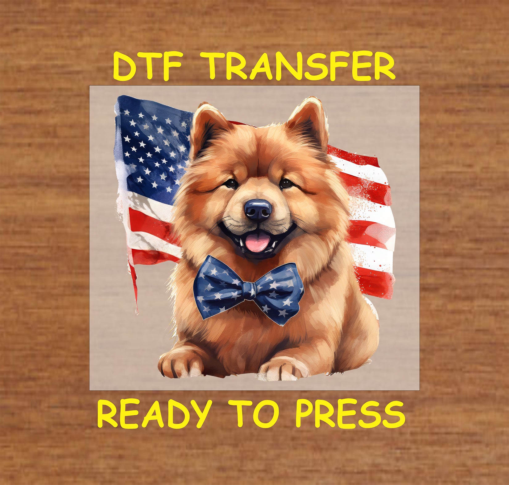 Chow Chow with flag and star bow tie for July 4th.