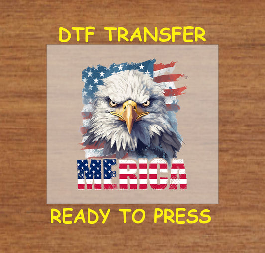 Bald eagle with grunge American flag and 'Merica text.