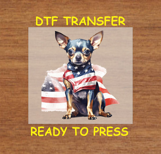 Chihuahua wearing American flag shirt with distressed flag background DTF transfer.