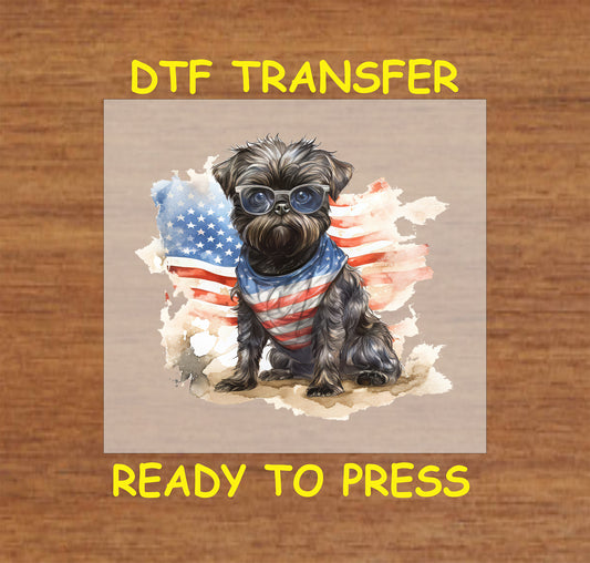 Dog in sunglasses with USA bandana and American flag background.
