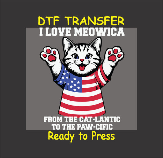 Patriotic cat in USA shirt with raised paws and text I Love Meowica.