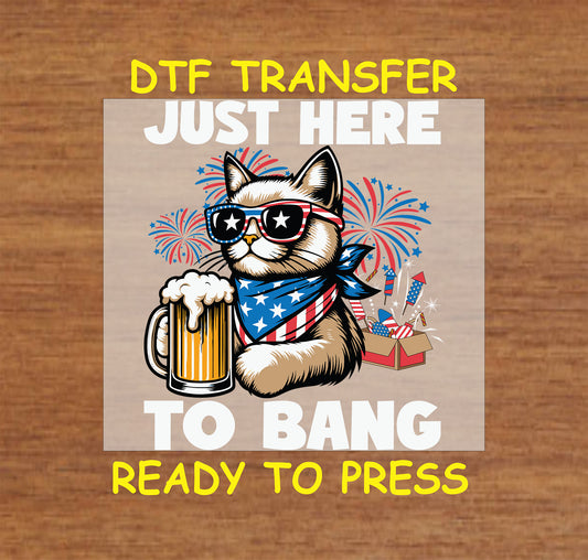 Cat with sunglasses, beer, and fireworks saying Just Here to Bang.