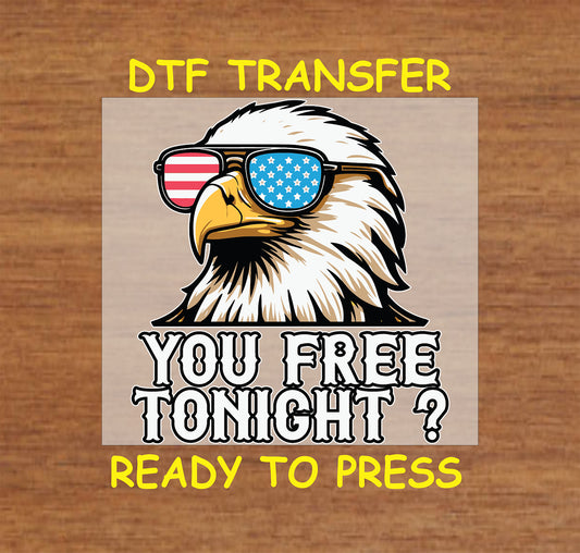Bald eagle with patriotic sunglasses and text that says You Free Tonight.