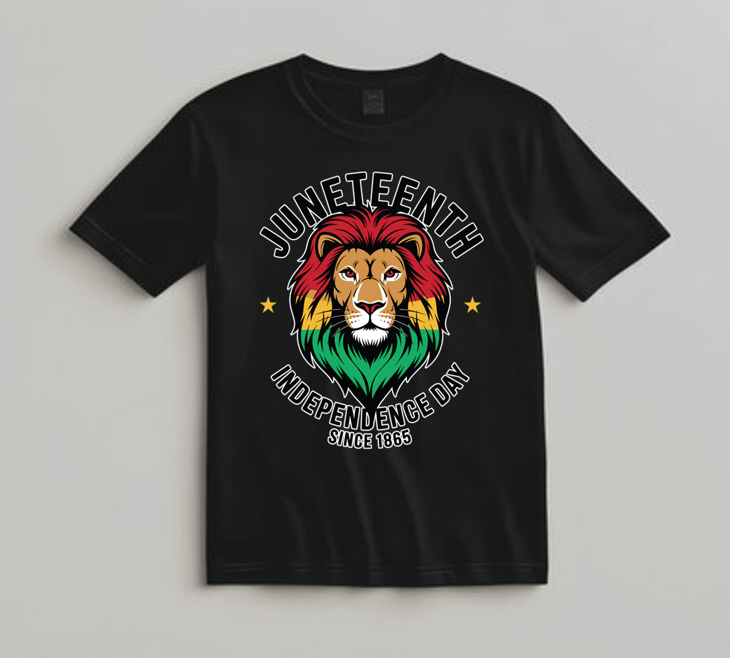 Juneteenth DTF Transfer Iron On Heat Transfer - Ready to Press, Independence Day Since 1865 DTF Transfer 8227