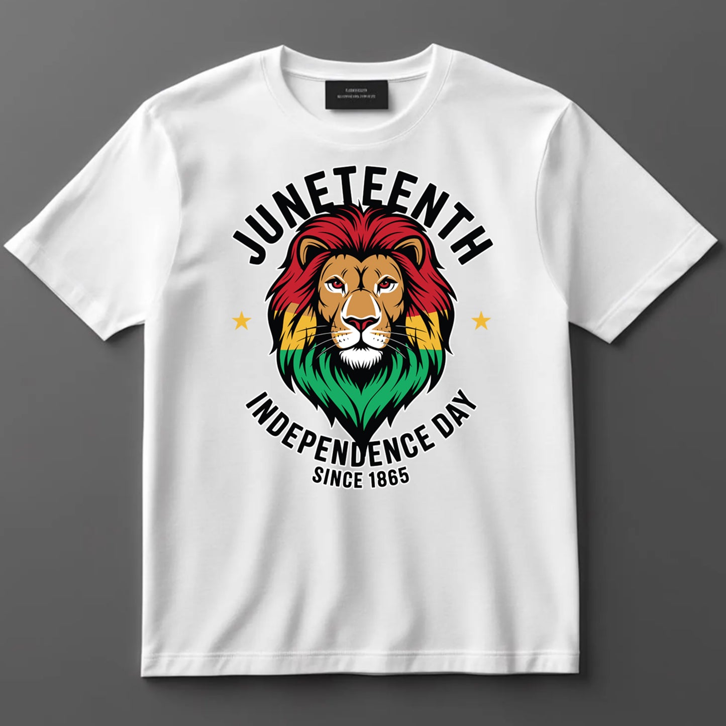 Juneteenth DTF Transfer Iron On Heat Transfer - Ready to Press, Independence Day Since 1865 DTF Transfer 8227